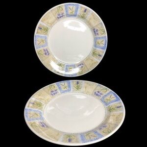 2 Pier One Angleterre Hydrangea England 10 1/4” Dinner Plates pre-owned